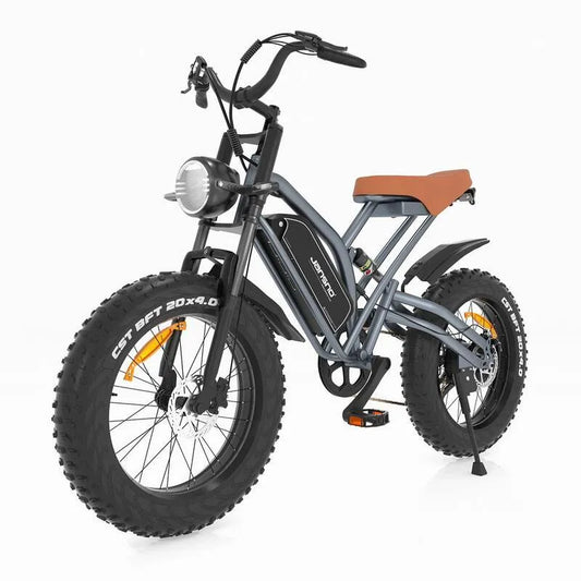 750, 7-Stufen Shimano Snow Beach Mountain Elektrofahrrad, 750-Watt 48-Volt 12, 8 Amp Fat Tires, 20 in., 12.8 Amp